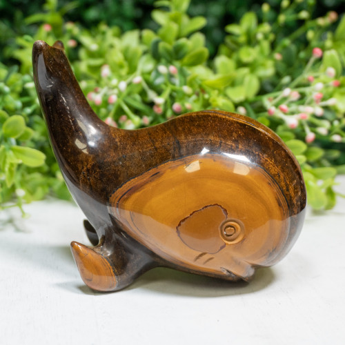 Tiger Eye Whale #1