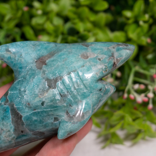 Amazonite Shark