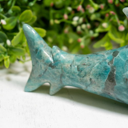 Amazonite Shark