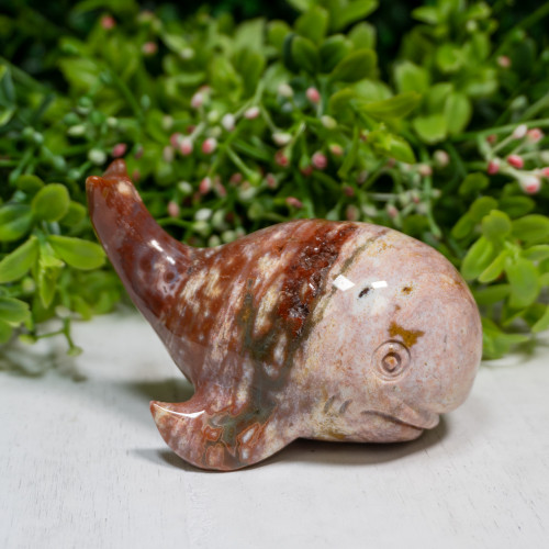 Ocean Jasper Whale #1