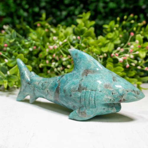 Amazonite Shark