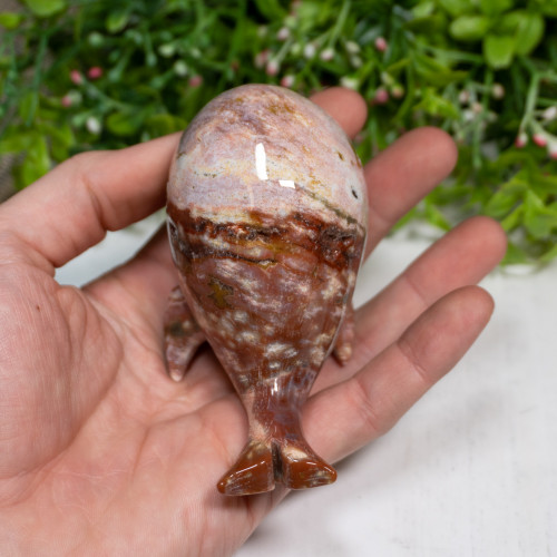 Ocean Jasper Whale #1