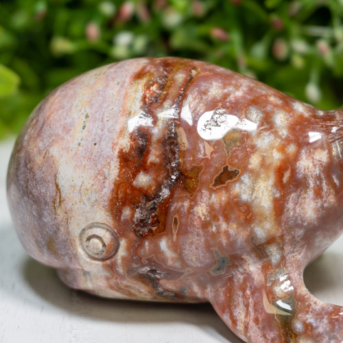 Ocean Jasper Whale #1