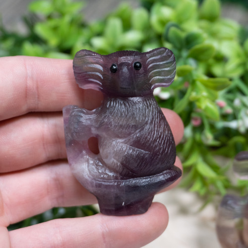 Fluorite Koala