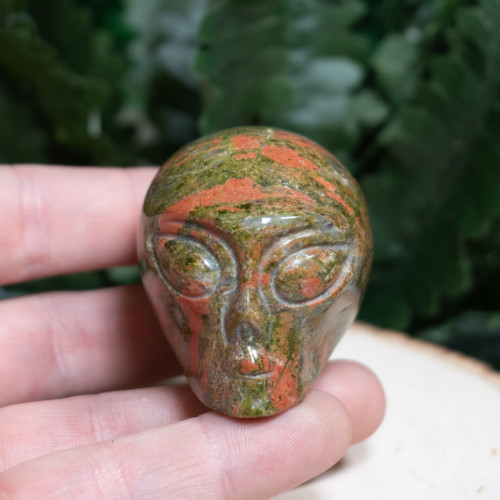 Unakite Alien Skull
