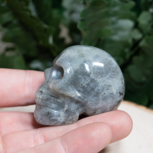Labradorite Skull