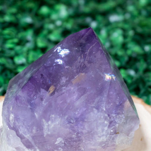 A+ Amethyst Point #6