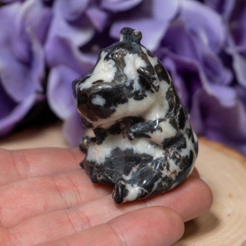 Zebra Jasper Cow