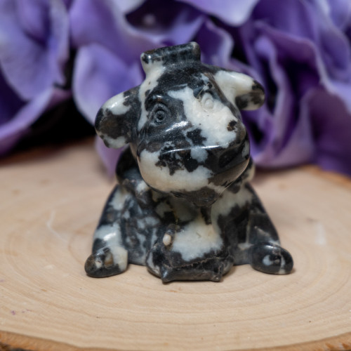 Zebra Jasper Cow