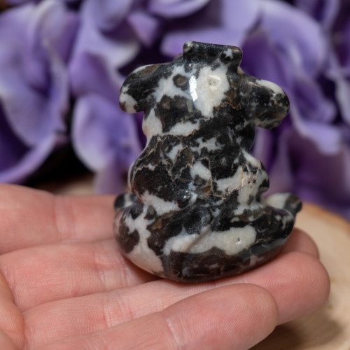 Zebra Jasper Cow