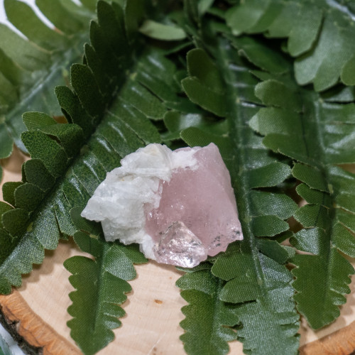 Raw Morganite #1