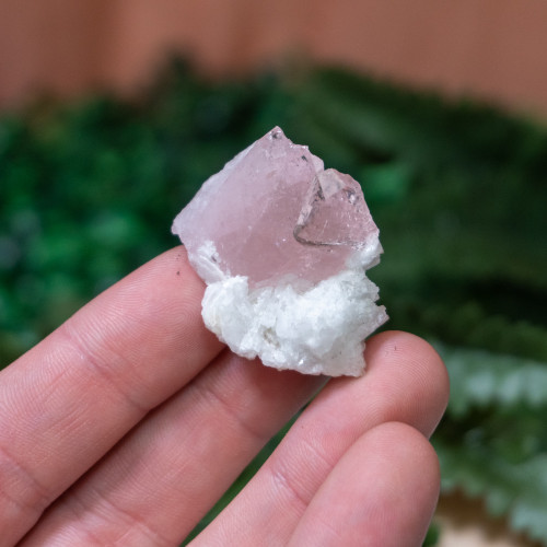 Raw Morganite #1