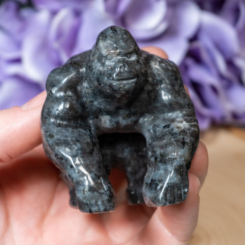 Larvikite Gorilla