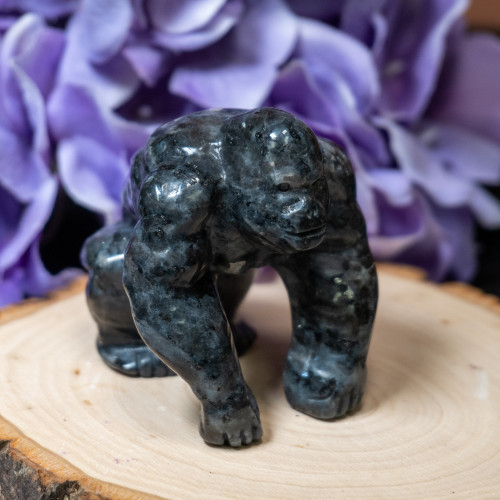 Larvikite Gorilla