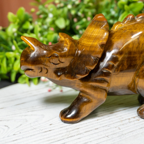 Tiger Eye Triceratops #1