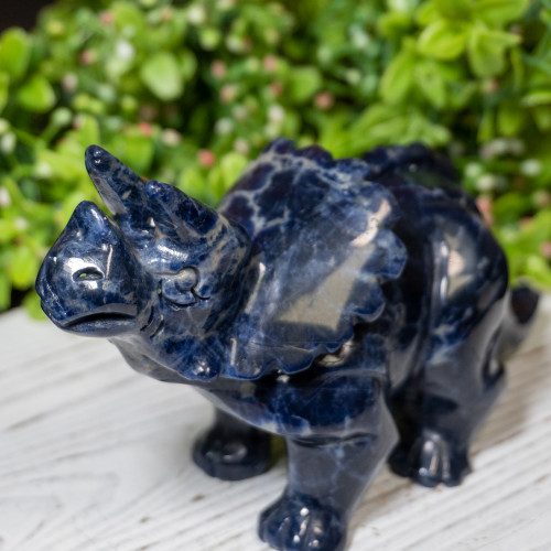 Sodalite Triceratops