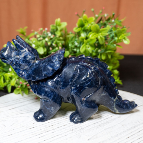 Sodalite Triceratops