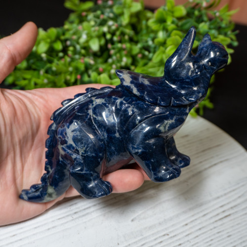 Sodalite Triceratops