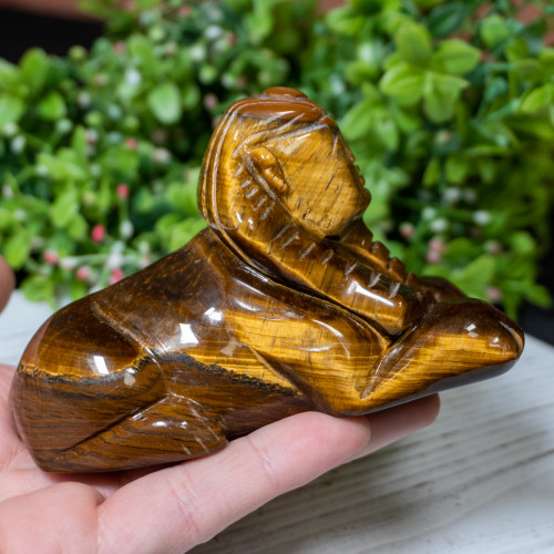 Tiger Eye Sphinx #3