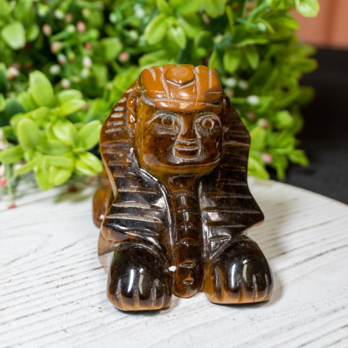Tiger Eye Sphinx #3