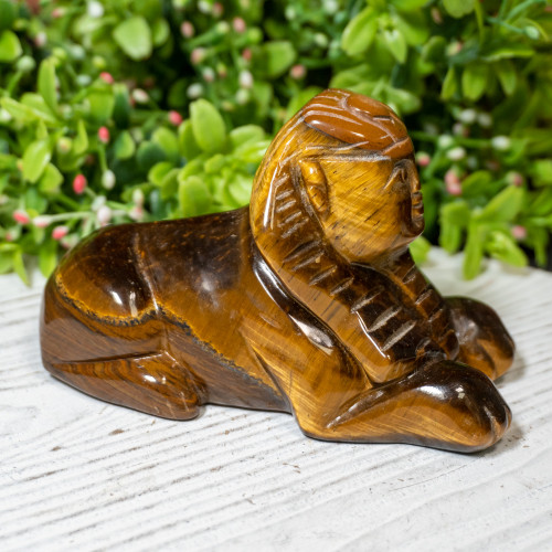 Tiger Eye Sphinx #3