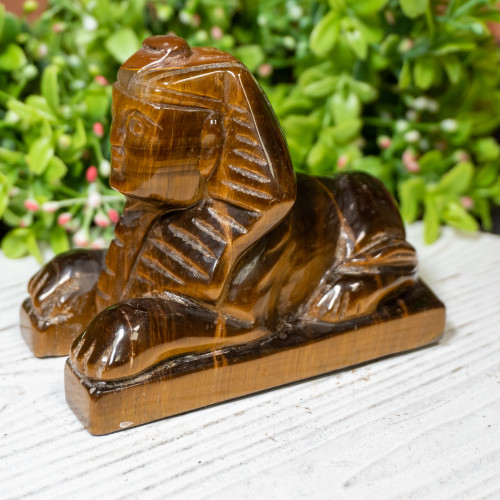 Tiger Eye Sphinx #2