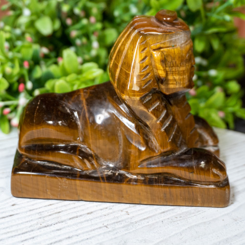 Tiger Eye Sphinx #2