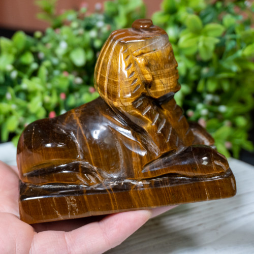 Tiger Eye Sphinx #2