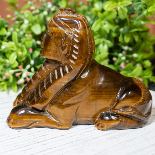 Tiger Eye Sphinx #1