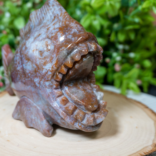 Marcasite and Chalcedony Pirhana