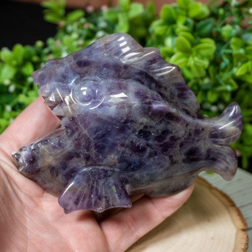 Chevron Amethyst Pirhana