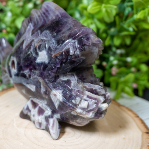 Chevron Amethyst Pirhana