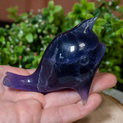 Dark Purple Fluorite Narwal