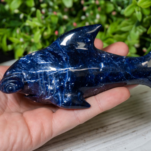 Sodalite Hammerhead Shark #1