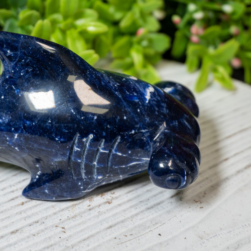 Sodalite Hammerhead Shark #1