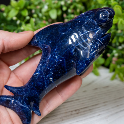 Sodalite Hammerhead Shark #1