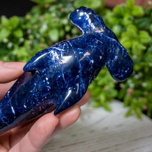 Sodalite Hammerhead Shark #1