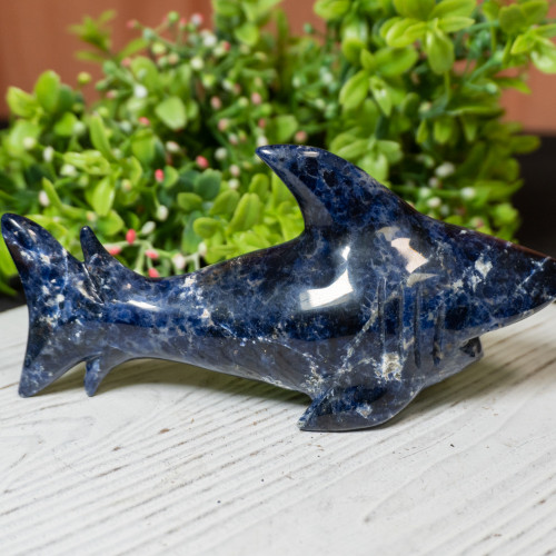 Sodalite Shark #1