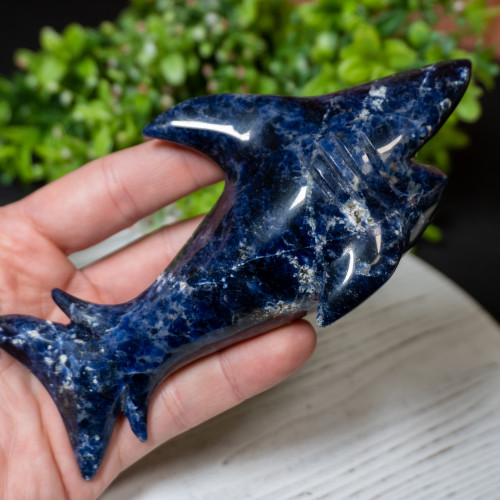 Sodalite Shark #1