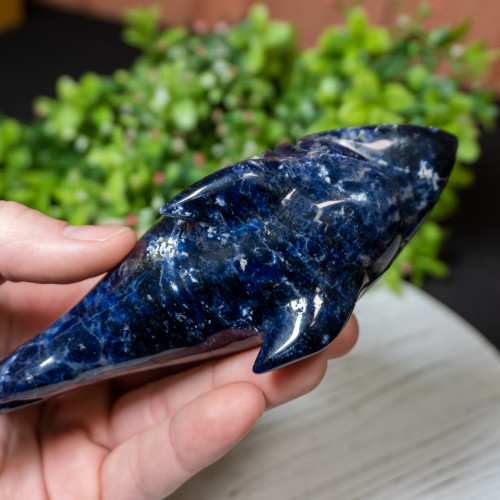 Sodalite Shark #1