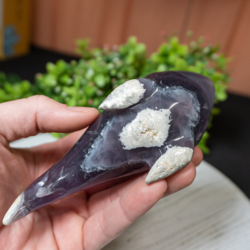 Fluorite Shark #1