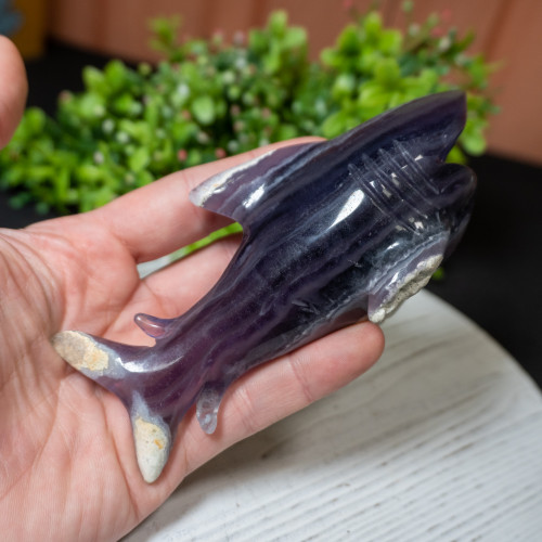 Fluorite Shark #1