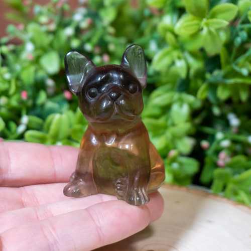 Yellow Fluorite Bulldog