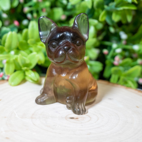 Yellow Fluorite Bulldog