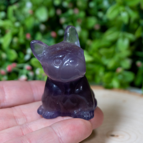 Purple Fluorite French Bulldog