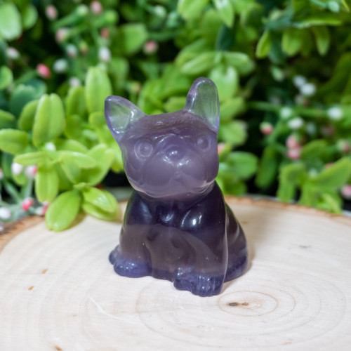 Purple Fluorite French Bulldog