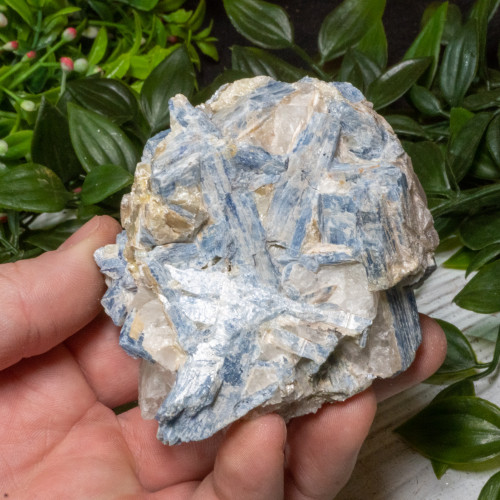 Blue Kyanite #7