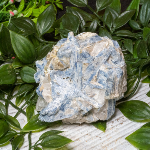 Blue Kyanite #7