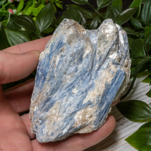 Blue Kyanite #6