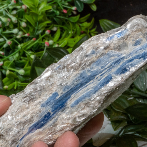 Blue Kyanite #6